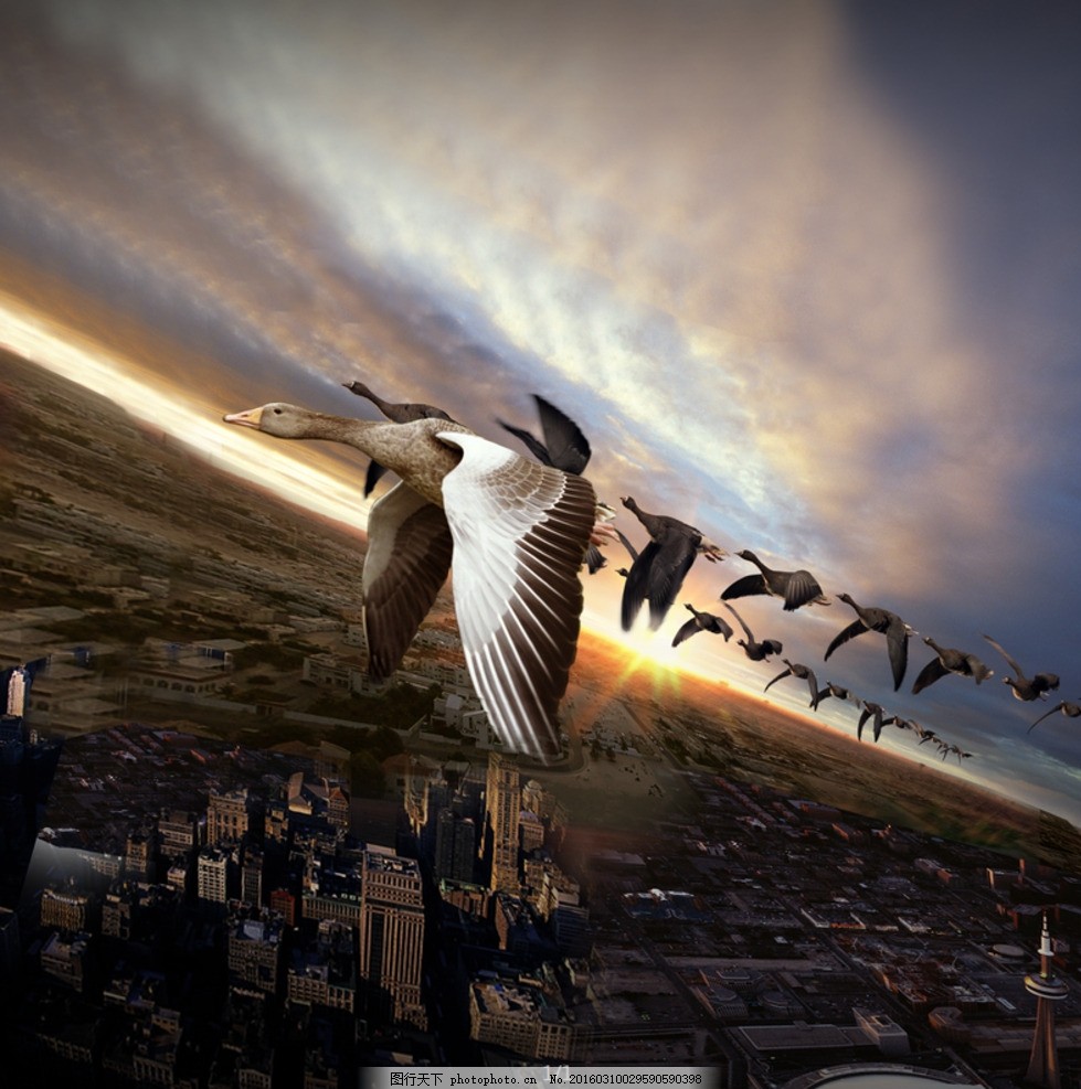 領(lǐng)航未來，共創(chuàng)輝煌